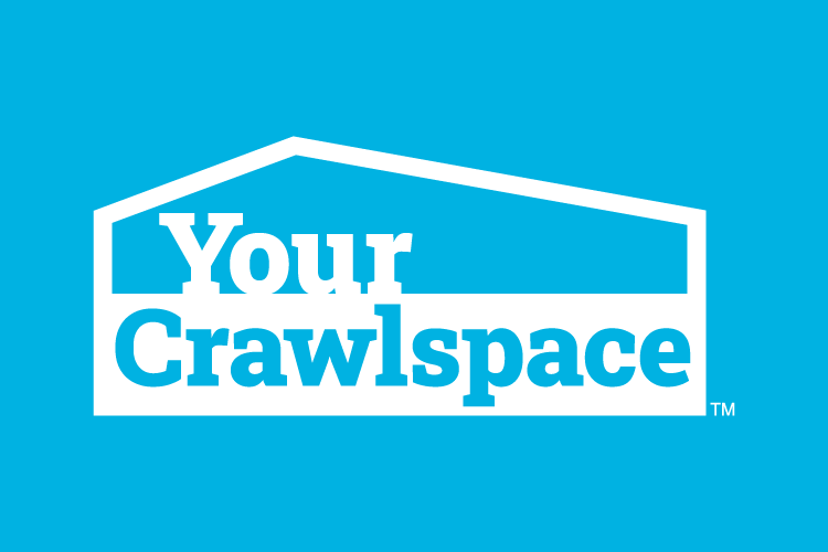 Crawl Space Termite Infestation